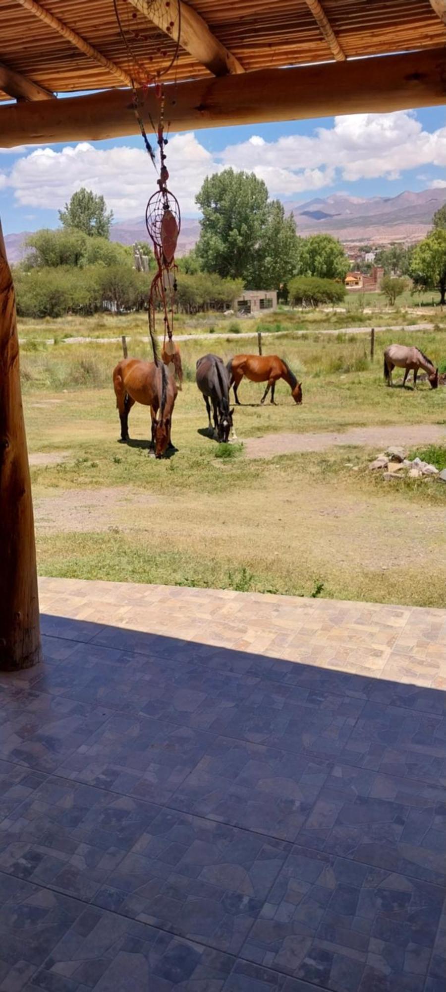 Cabanitas El Reposo Humahuaca Hotel Ngoại thất bức ảnh
